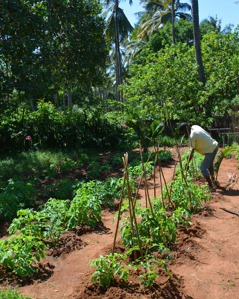 Organic Farming