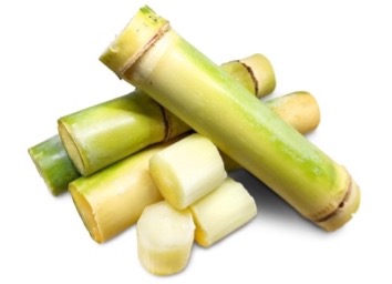 Squalane (sugar cane extract)